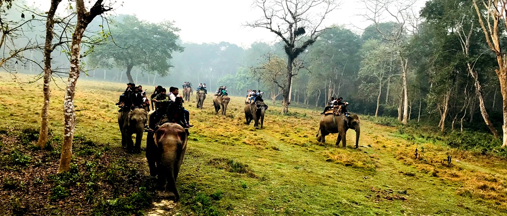 Elephant Safari at Chitwan Nationalpark